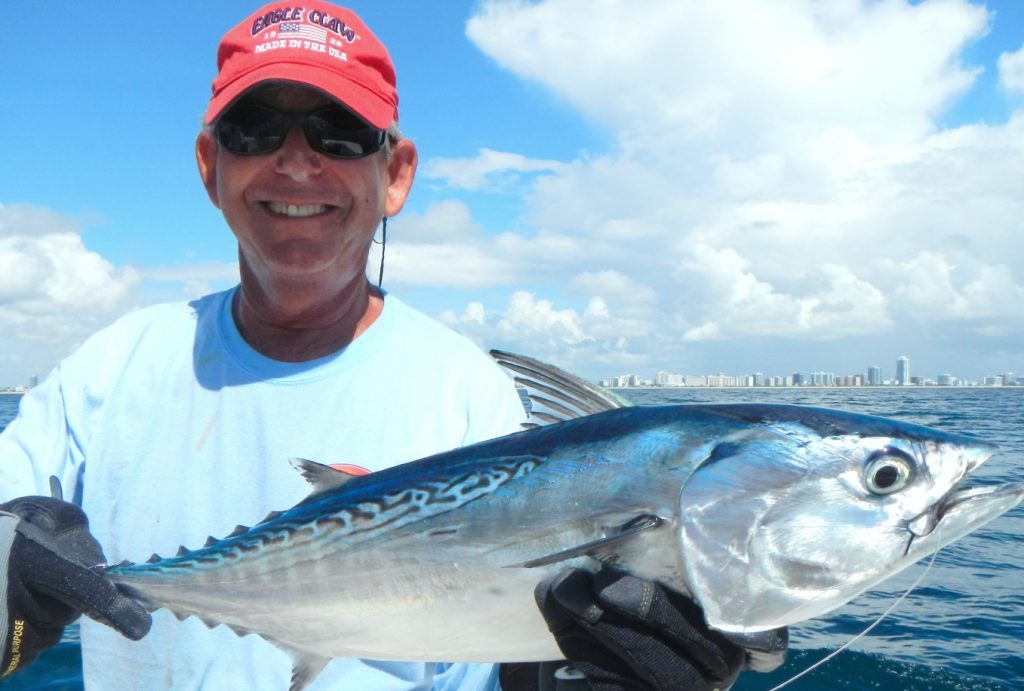 O peixe da estação com mais colagénio do que o caldo de ossos e mais ómega 3 do que o salmão: qual é?