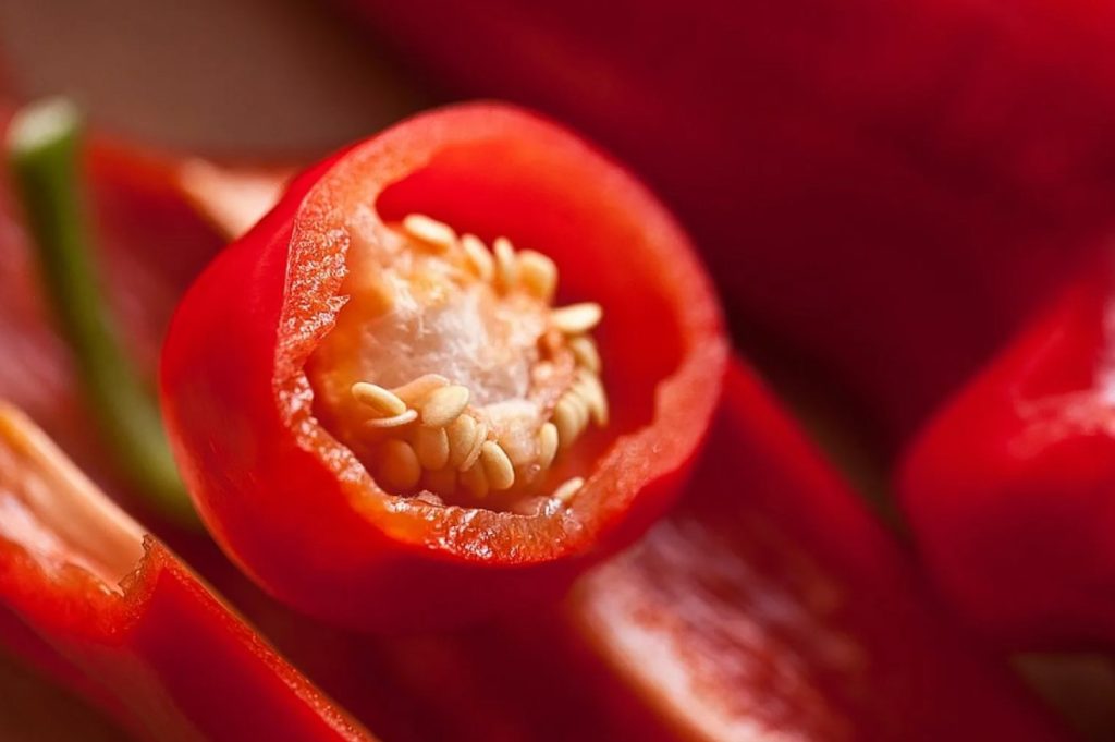 Coma bem durante a dieta. Será mais fácil perder os quilos a mais e a gordura que aparece acima do cinto.