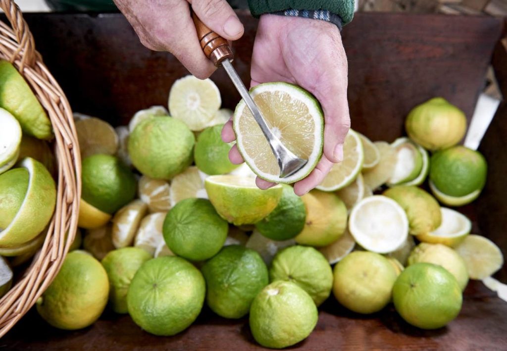 A fruta cítrica mais cara do mundo é da Calábria (e é um super ingrediente na cozinha)