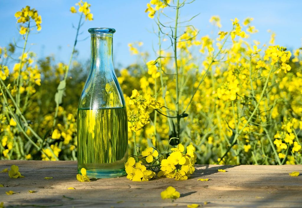 Adeus, azeite: esta é a alternativa mais saudável e barata para substituí-lo