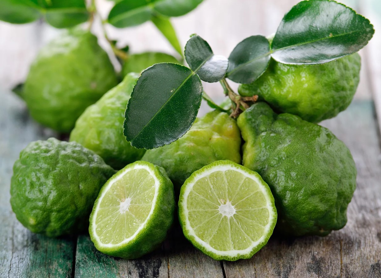 A fruta cítrica mais cara do mundo é da Calábria (e é um super ingrediente na cozinha)