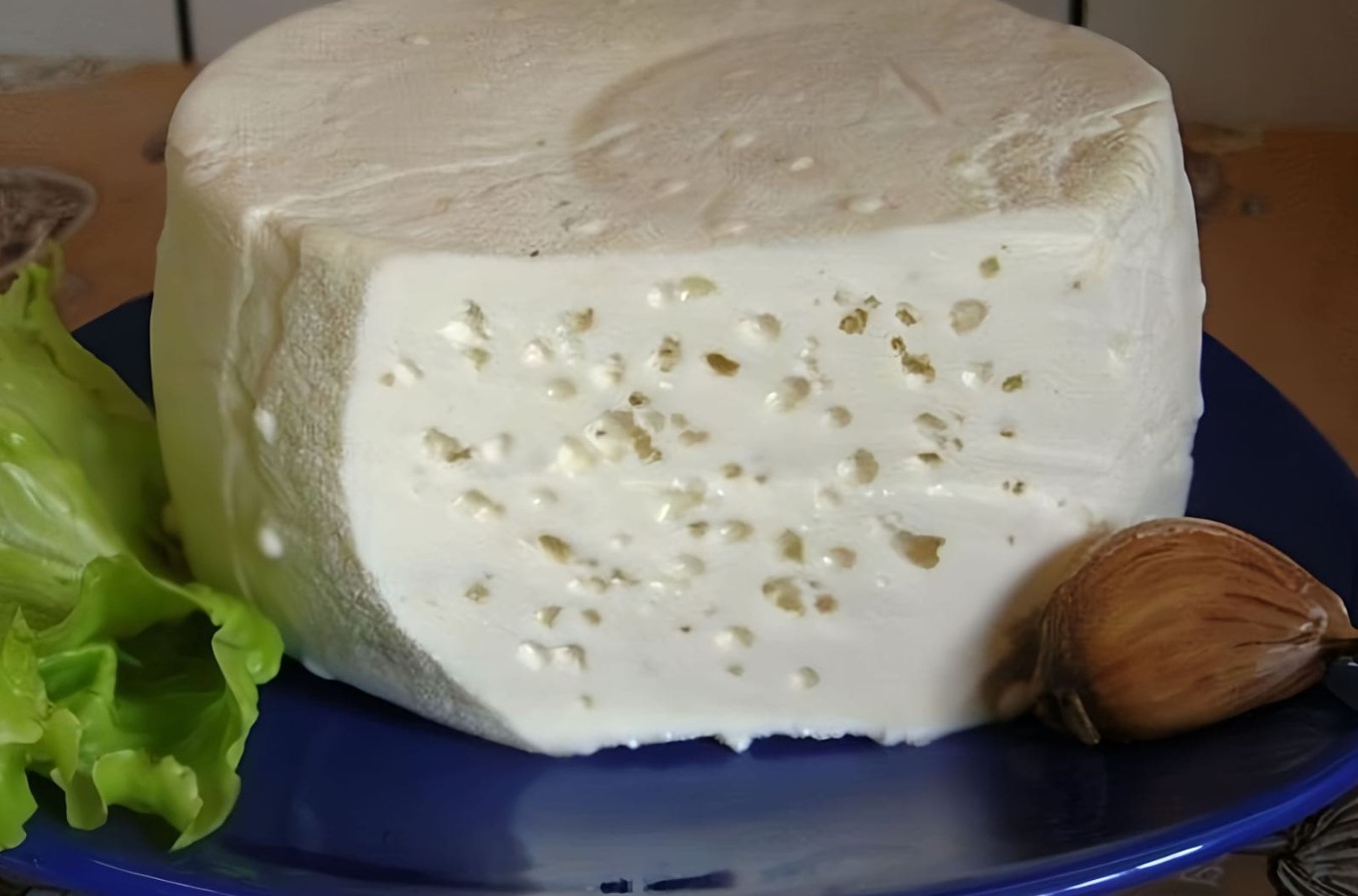 Deite fora os queijos caros: como fazer com leite e limão um sabor que conquistará até os mais exigentes