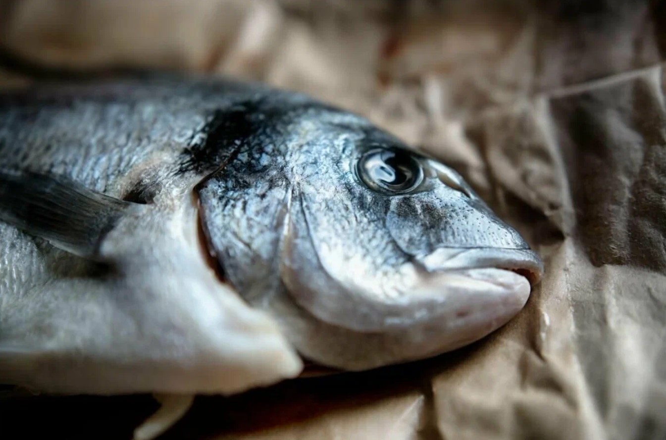 Encontrada a maneira mais fácil de cortar peixe: o que tem a ver sal com isso?