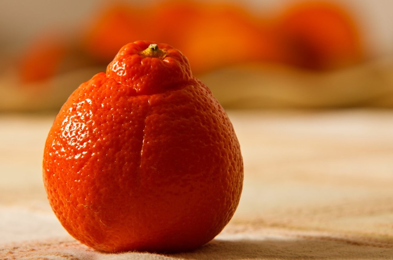 Não é tangerina nem kumquat. Coma para ter uma boa visão e uma pele delicada